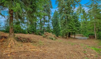 Ziak-Gnat Creek Ln, Astoria, OR 97103