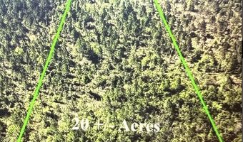 4360 NW Miller Rd, Altha, FL 32421