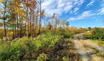 91 Greenleaf Brook Rd, Amity, ME 04730