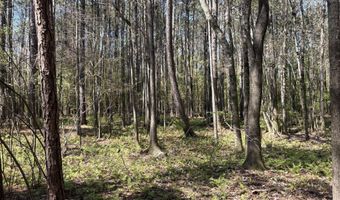 SW Auburn Drive, Bogue Chitto, MS 39629