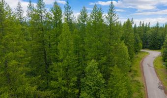 13727 Big Hawk Dr, Bigfork, MT 59911