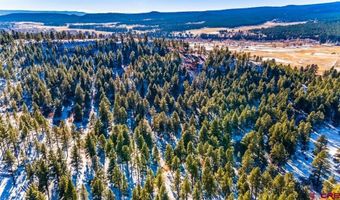 TBD Lot 11 Beaver Creek Ranch Drive, Bayfield, CO 81122