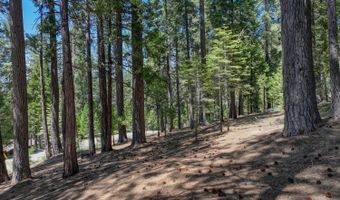 1955 Seminole Way, Arnold, CA 95223
