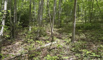 999999 Harwood Rd 2, Barnardsville, NC 28709