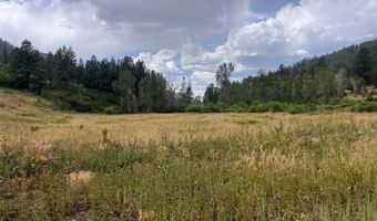 3230 Bear Creek Rd, Bayfield, CO 81122