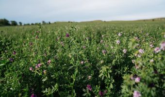 0000 Road, Arnold, NE 69120