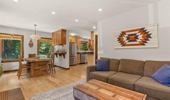 16 Bemrose Trl, Blue River, CO 80424