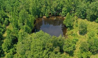 170 Acres On Coleman Rd, Fort Gaines, GA 39851