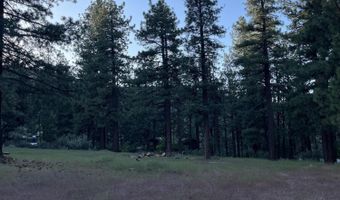 4300 Meadow Wood Rd, Carson City, NV 89703