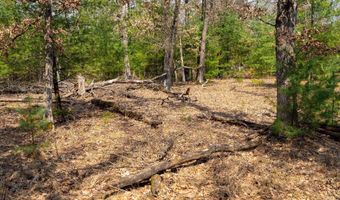 Dover Drive lot 2 +/-43 Ac, Adams, WI 53910
