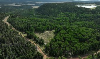 168 Mertz Pl Lot 65, Angel Fire, NM 87710
