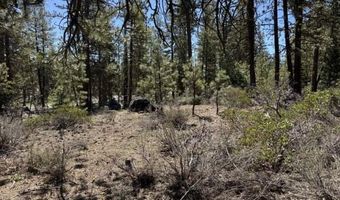 Horned Owl Lane, Bonanza, OR 97623