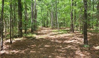 26 55 Acres Namozine Rd, Amelia Court House, VA 23002