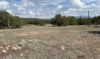 46625 N Jackrabbit Cir, Ash Fork, AZ 86320