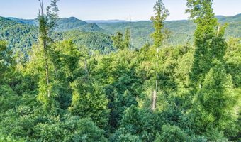 H and H Trail, Bat Cave, NC 28710