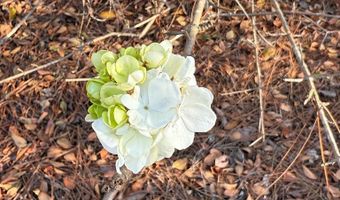 5686 Golden Isle W, Baxley, GA 31513