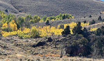 parcels at Pine Nut Creek area, Gardnerville, NV 89410