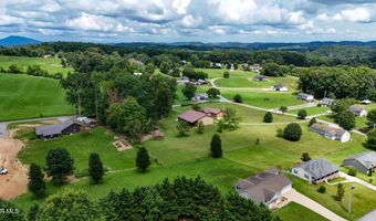 1020 Pigeon Hollow Rd, Afton, TN 37616