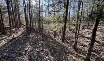 V/L Wildwood Road lot 9, Alger, MI 48610