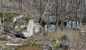 493 Wheeler Mountain Rd, Barton, VT 05822