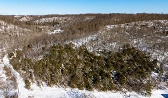 Lockmier 12+/- Acres Rd, Augusta, KY 41002