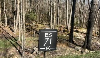 Es71 Twisted Oak Path, Banner Elk, NC 28604