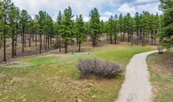 20861 Hwy 160, Bayfield, CO 81122