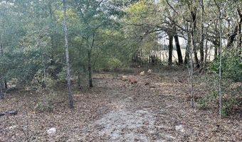 85 Th St, Bell, FL 32619