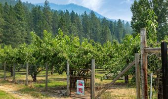 21848 Mt Highway 35, Bigfork, MT 59911