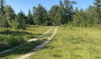 7960 NW County Road 274, Altha, FL 32421