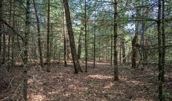 Lot 35 19th Court, Arkdale, WI 54613