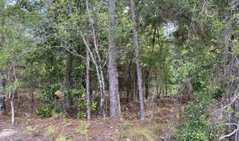 Putnam Avenue lot 31, Alford, FL 32420
