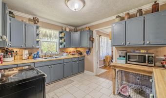 2884 SANDY FLAT Rd, Bethel Springs, TN 38315