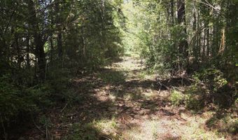 2862 Wallace Dr, Bogue Chitto, MS 39629