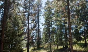 37 Red Tail Rdg, Bigfork, MT 59911