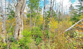 91 Greenleaf Brook Rd, Amity, ME 04730