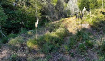 97436 WHISPER Ln, Brookings, OR 97415