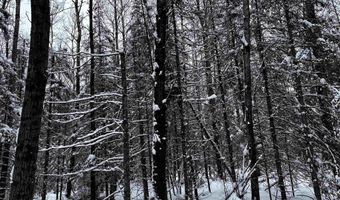 15865 THRASHER Rd, Alvin, WI 54542