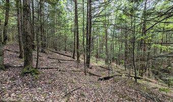 Stewart Road, Addison, NY 14801