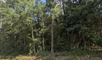 W. Newton Street, Bay St. Louis, MS 39520