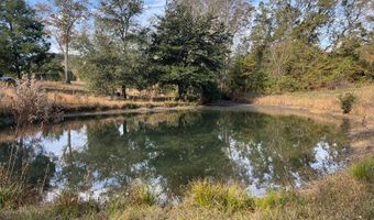 13962 Alabama Highway 95 N, Abbeville, AL 36310