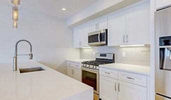 15 W Bellflower St 2, Boston, MA 02125