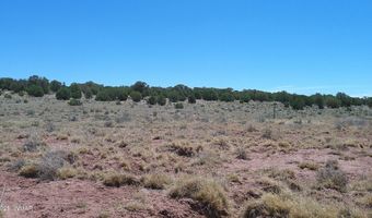 Tbd Rio Ranch, Concho, AZ 85924