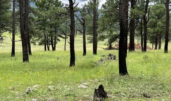 1 A FOREST ROAD 26, Alpine, AZ 85920