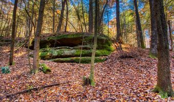 54 E Ridge Rd, Allardt, TN 38504