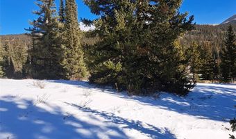 3553 RIVER Dr, Alma, CO 80420