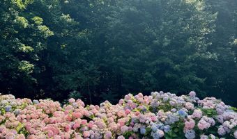 34 Bruns Rd, West Allenhurst, NJ 07711