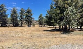 49275 Flightline Way, Aguanga, CA 92536