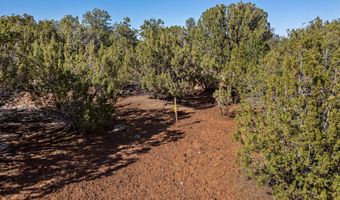 233 Co, Concho, AZ 85924