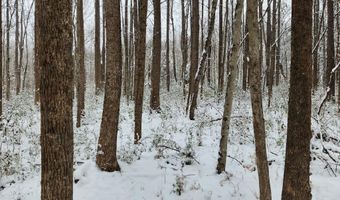 Soybean Drive, Appomattox, VA 24522